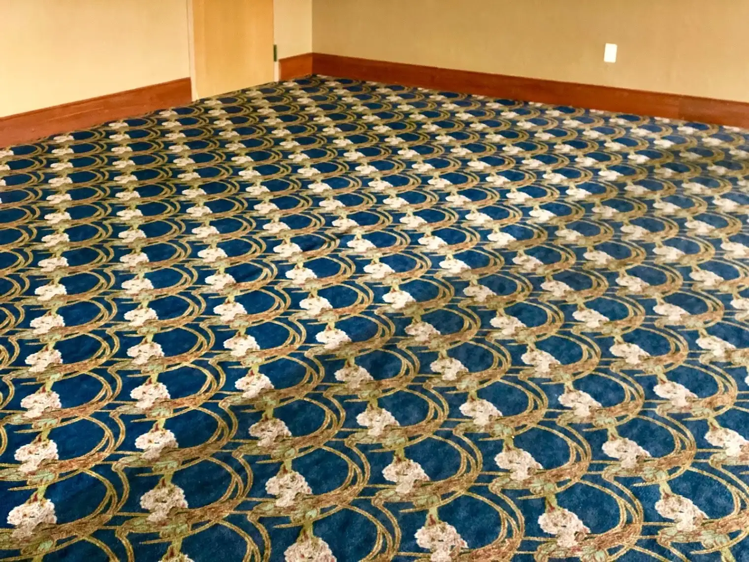 Patterned commercial ballroom carpet cleaning showing dirty versus steam cleaned section
